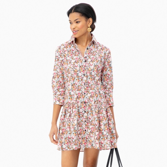 The Shirt by Rochelle Behrens Dresses & Skirts - Rochelle Behrens shirtdress, like new, size small